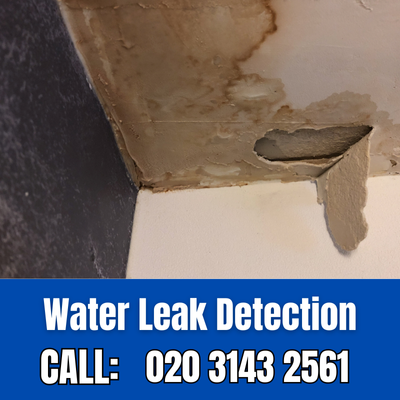 Expert Water Leak Detection Services in Bayswater | Bayswater Leak Detection